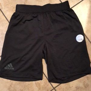 adidas climachill shorts mens